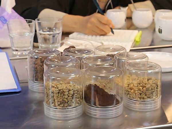 دوره جامع باریستا مقدماتی-فریبا بختیاری